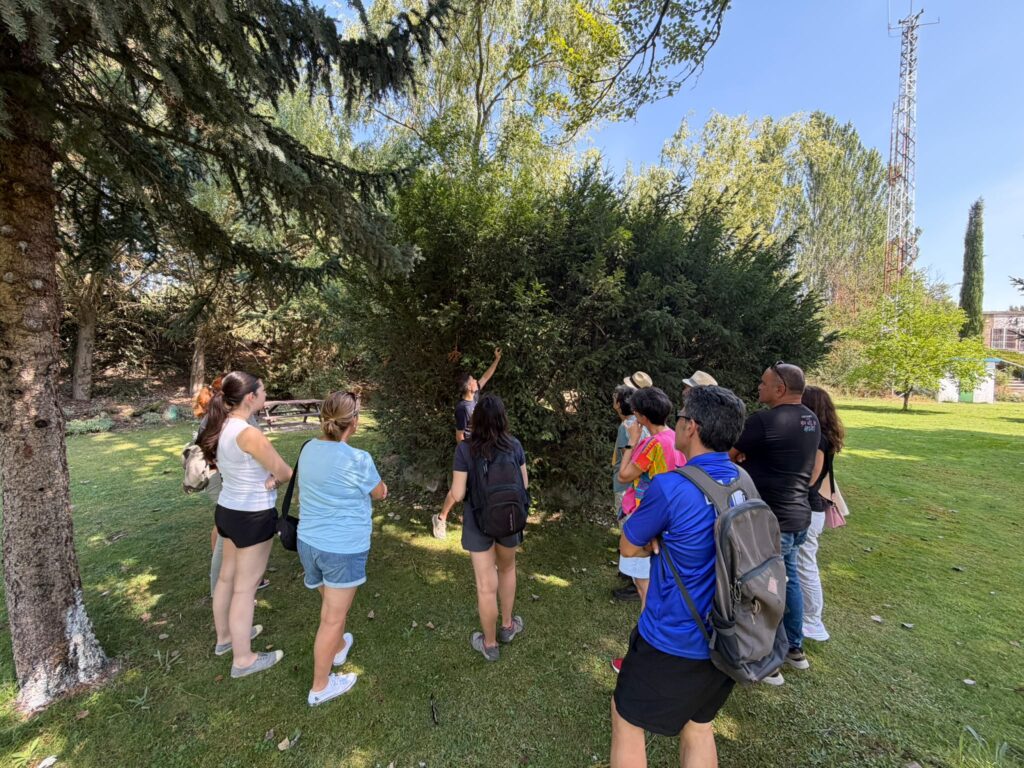 Grupo participante en una actividad de Herrera etnobotánica, observando e identificando plantas en un espacio verde.